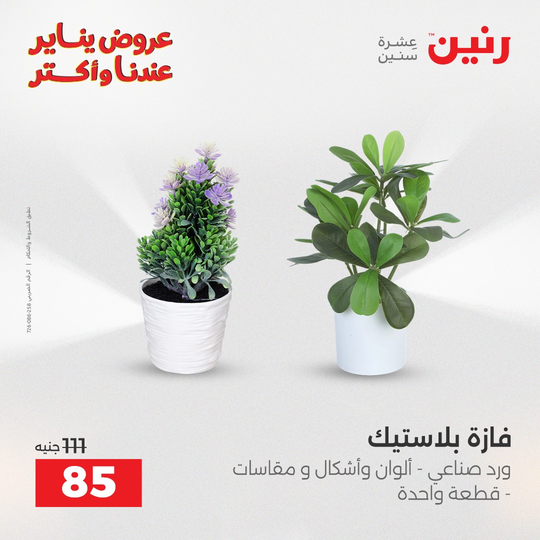 عروض رنين صفحة رقم 10